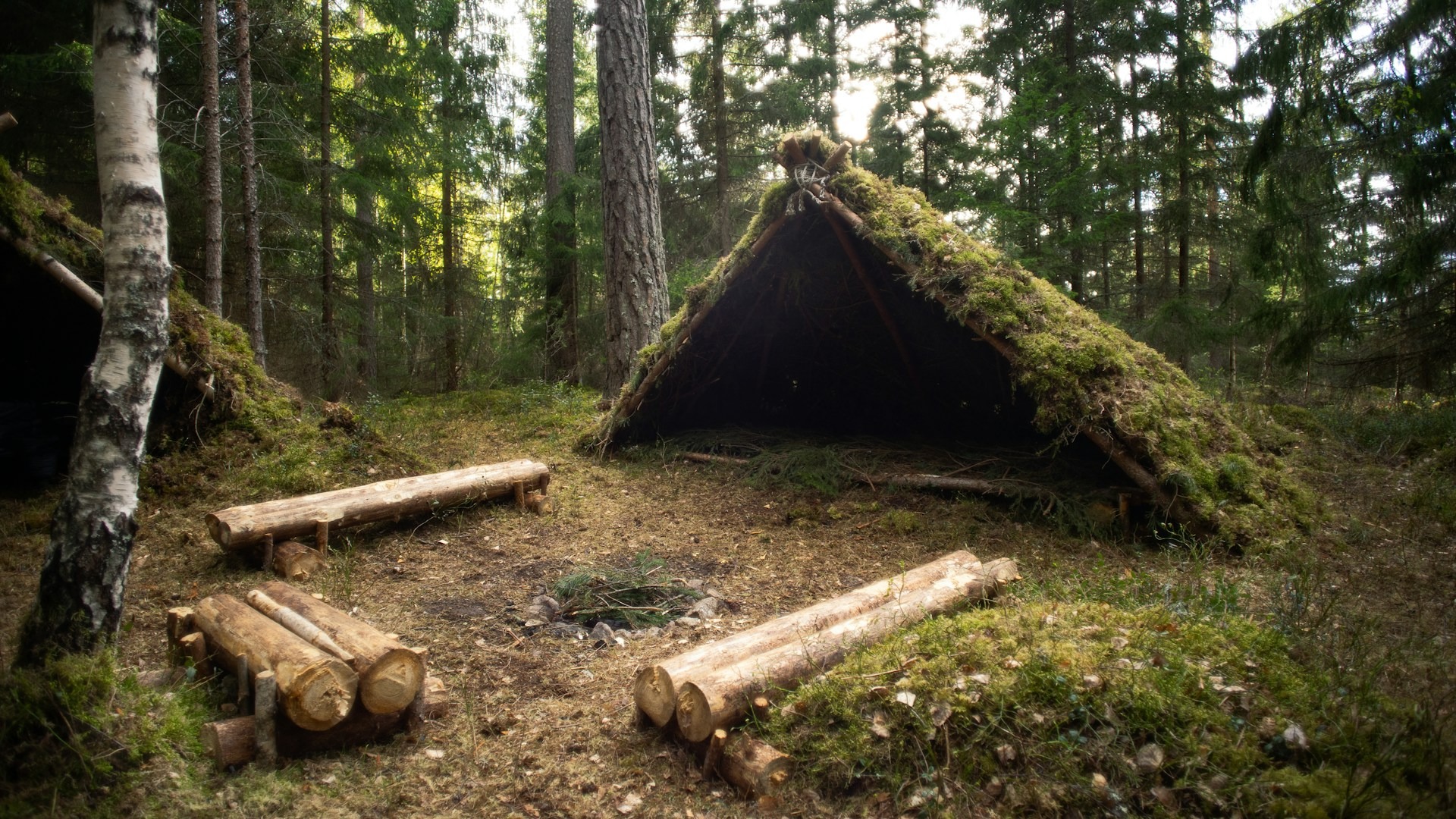 Gruppe beim Survival Training im bayerischen Wald