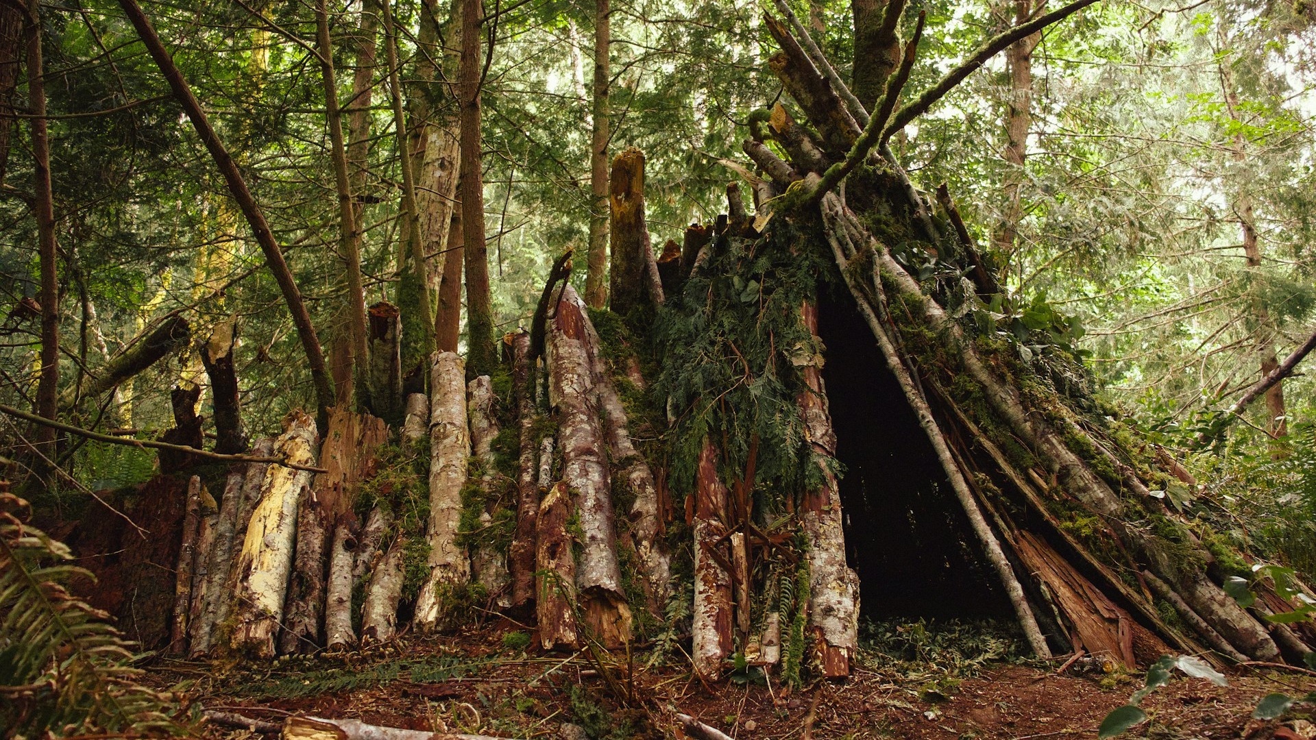 Survivalkurs im Wald