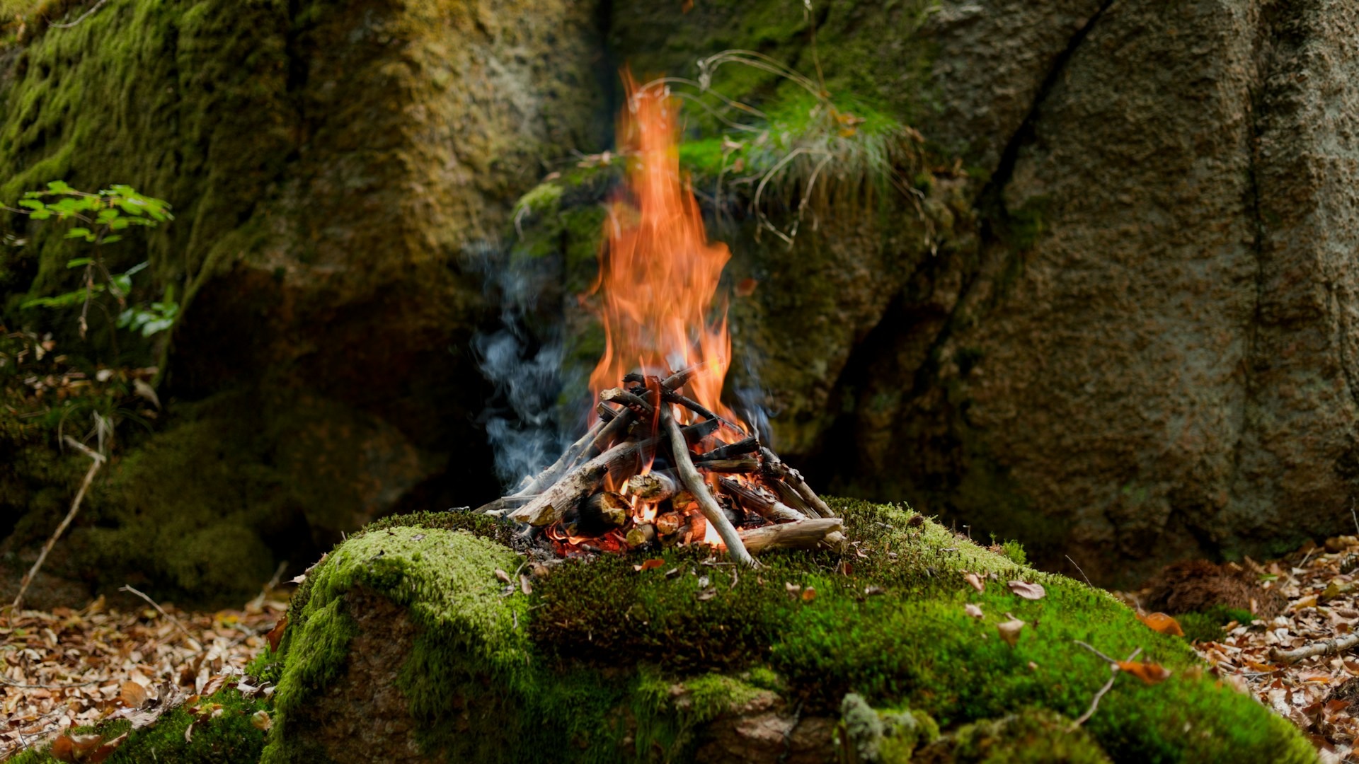 Bushcraft für Fortgeschrittene: Feuerbohren, Shelterbau und Wasseraufbereitung ohne moderne Hilfsmittel
