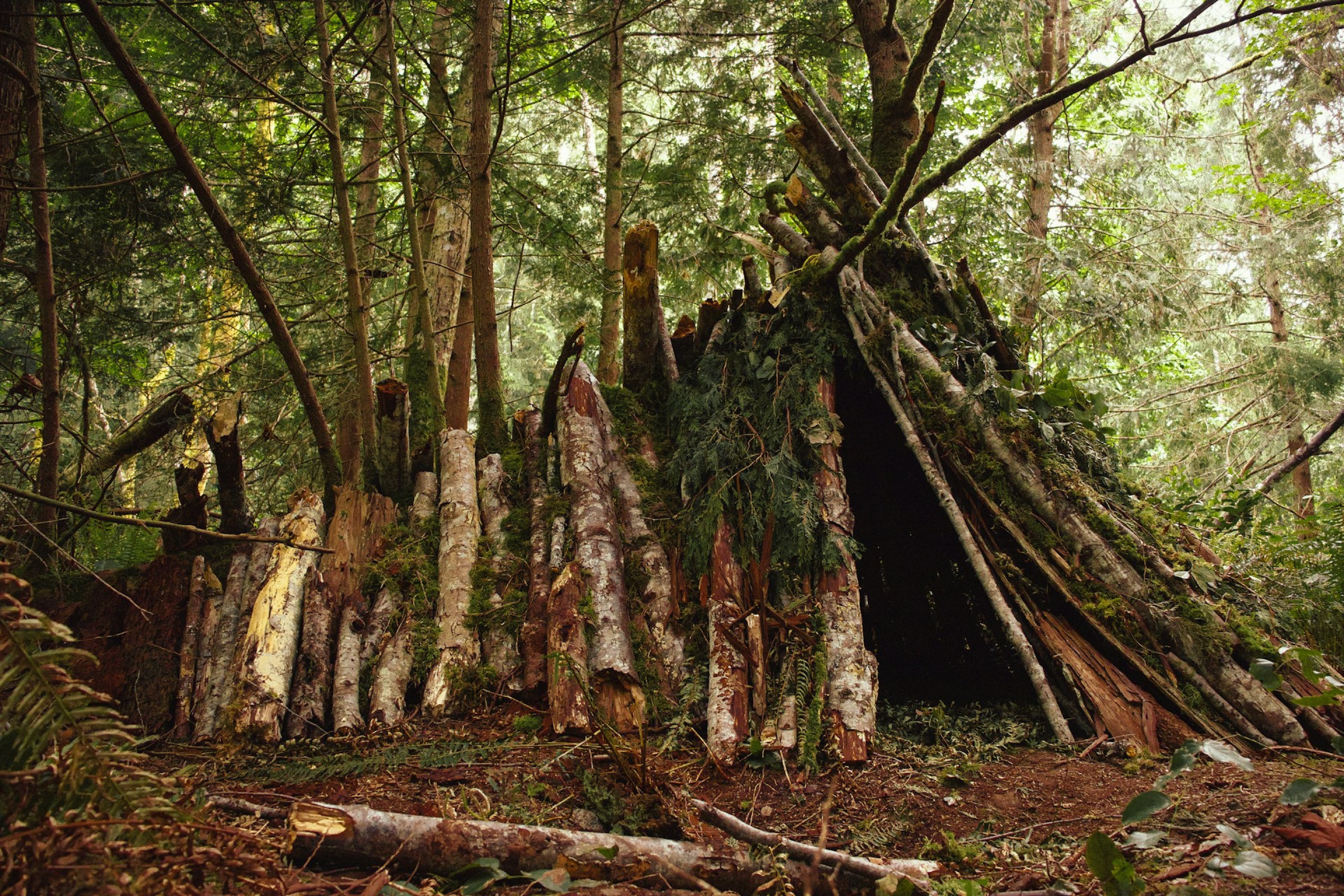 Fertige Debris Hut im Wald mit dicker Laubschicht
