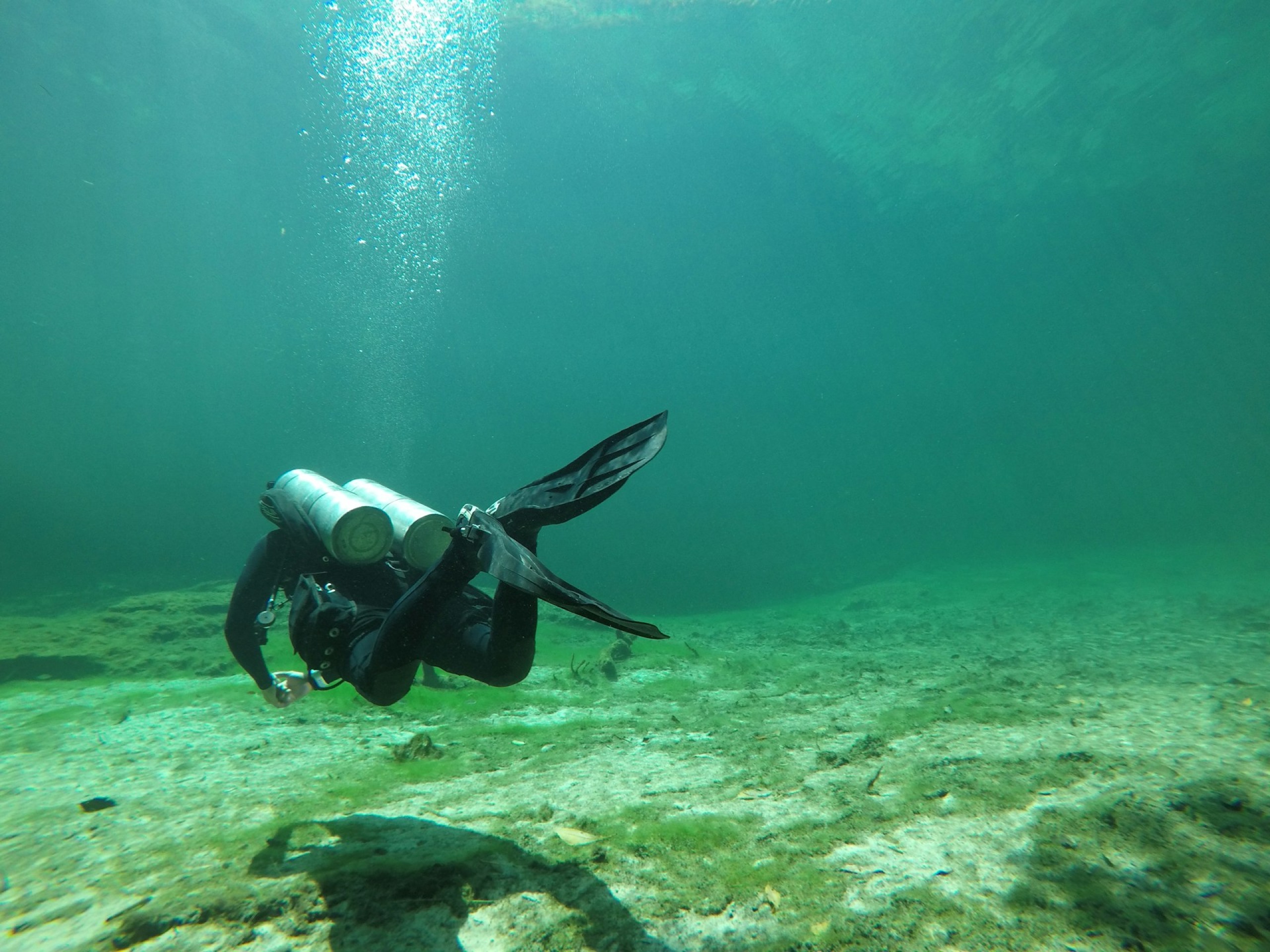 Taucher im klaren Wasser eines bayerischen Bergsees