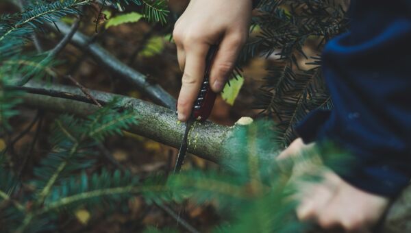 Survival Training in Bayern: Was dich erwartet
