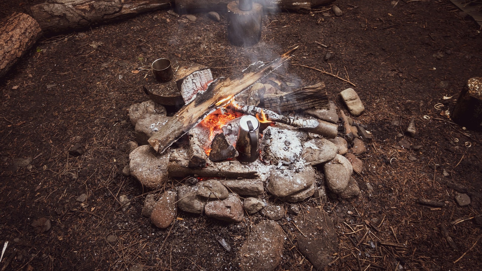 Bushcraft vs. Survival: Welcher Kurs passt zu dir?