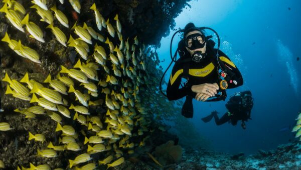 PADI vs. SSI: Welcher Tauchverband passt zu dir?