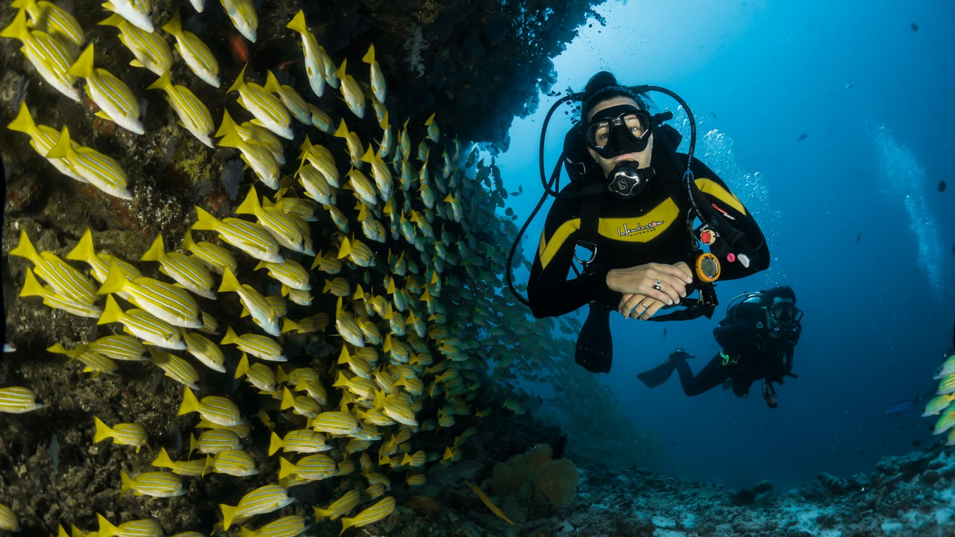 PADI vs. SSI: Welcher Tauchverband passt zu dir?