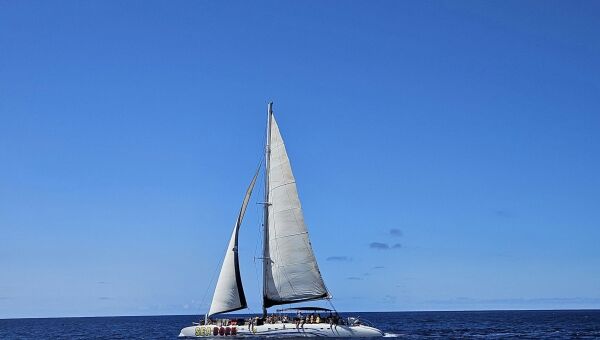Welcher Segelschein ist der richtige? SBF, SKS & SSS