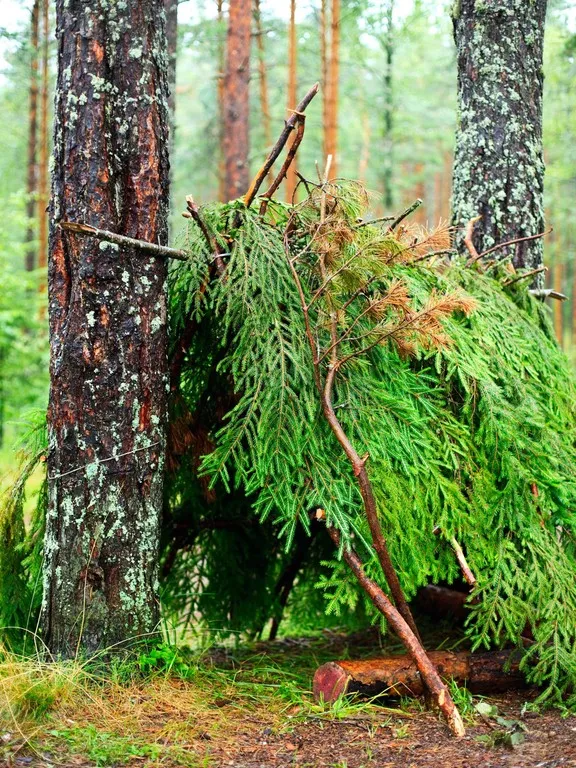 Crash-Kurs Survival Training Bild 4