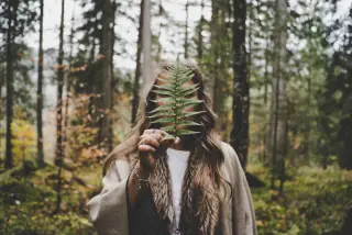 Kursbild für ROOT TIME: ZEIT FÜR DICH - Waldauszeit für Führungskräfte