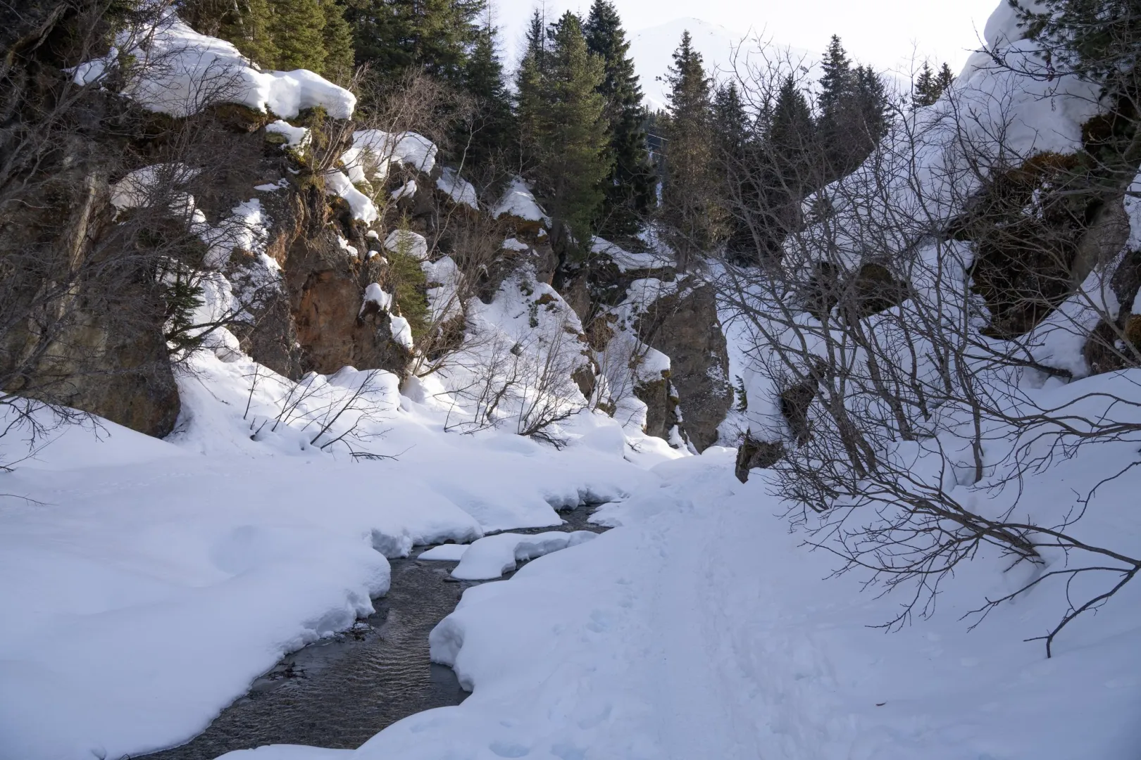 Eisklettern Grundkurs im Pitztal Bild 5