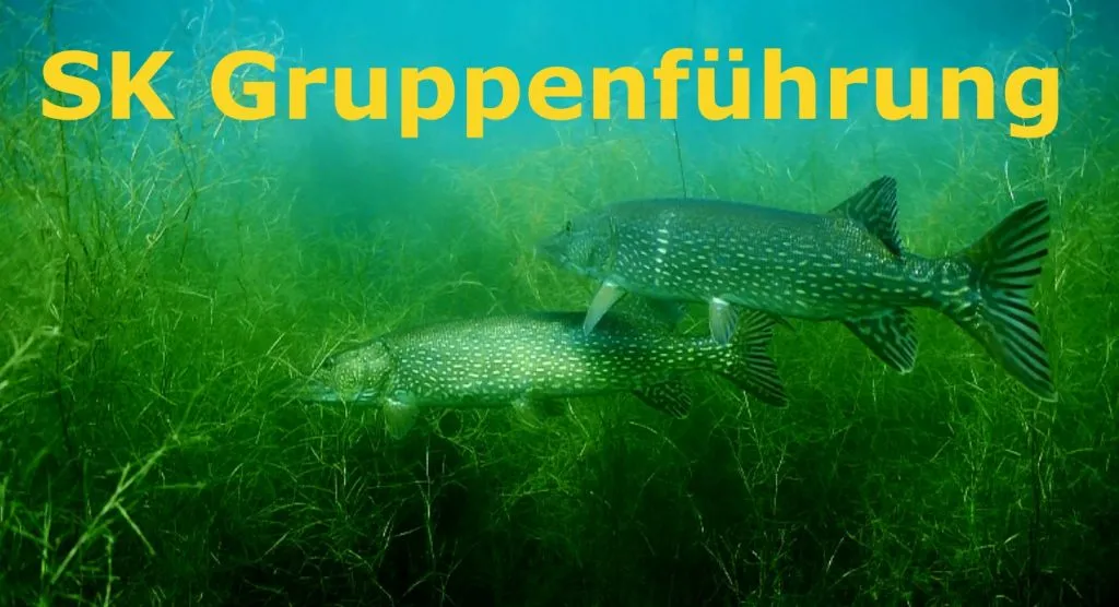 Gruppenführung Tauchen Spezialkurs