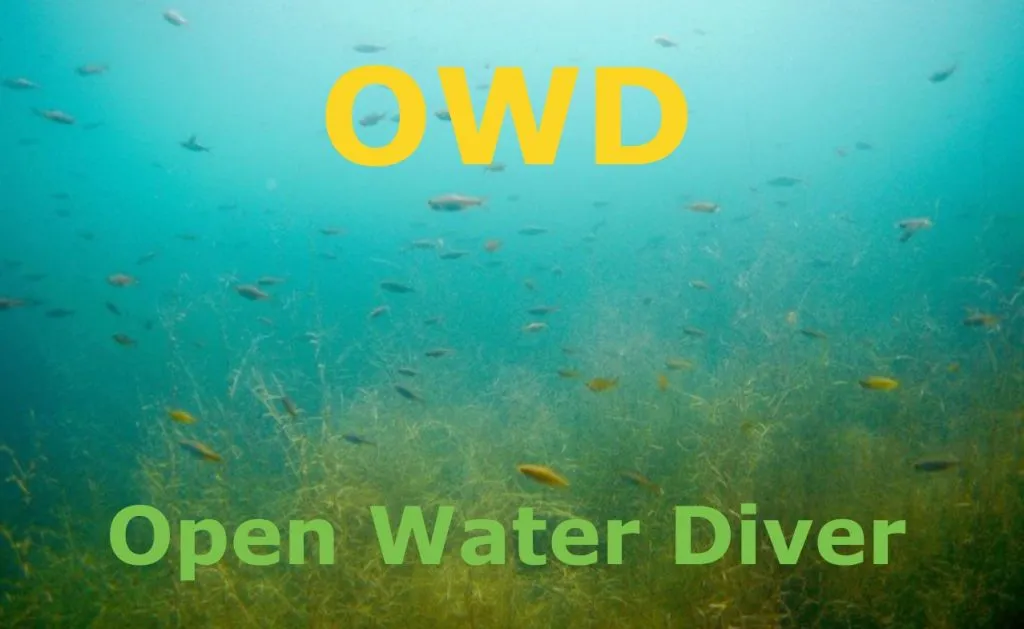 Open Water Diver (OWD)