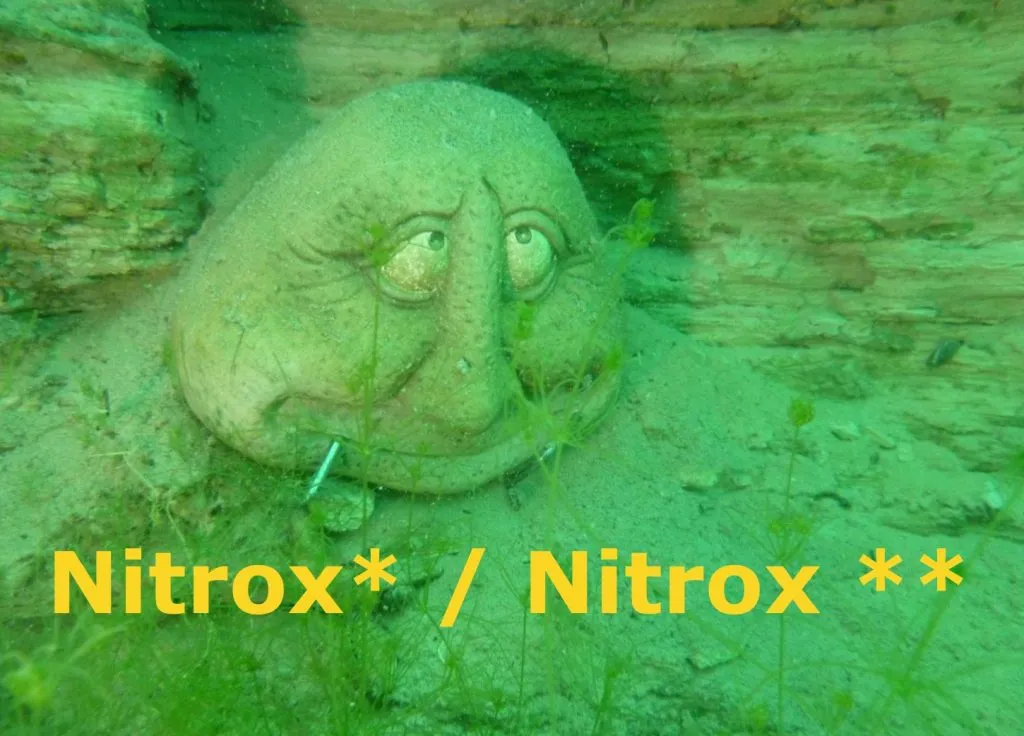 Nitrox* / Nitrox ** Spezialkurs