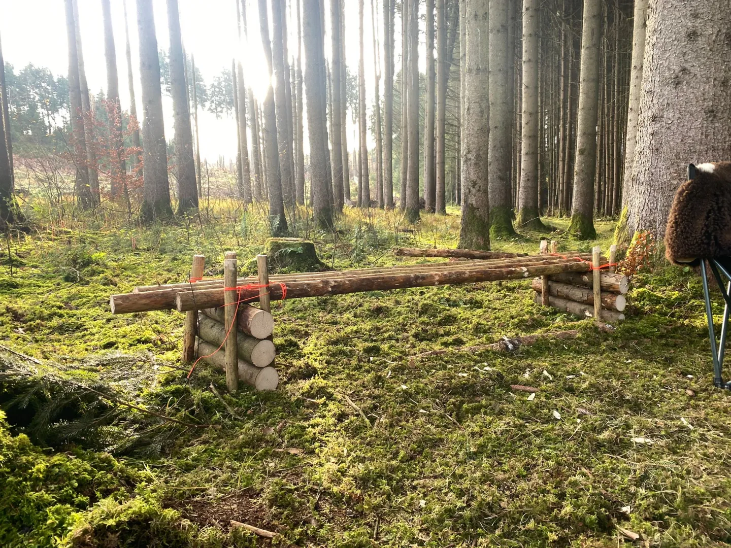 Survival Training im Allgäu und Oberschwaben Bild 3