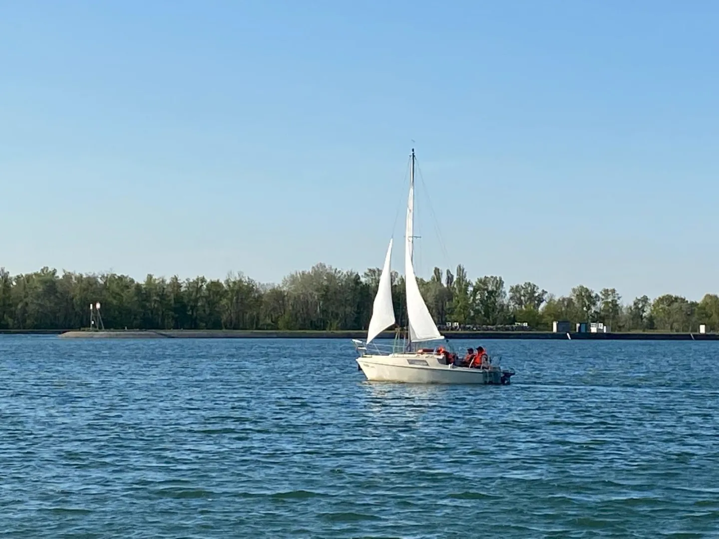 SBF Binnen unter Segel - Segelkurs bei Freiburg Bild 3