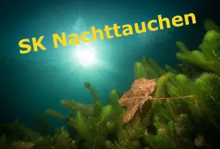 Kursbild für Nachttauchen Spezialkurs