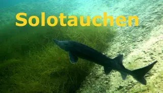 Kursbild für Solotauchen für Fortgeschrittene