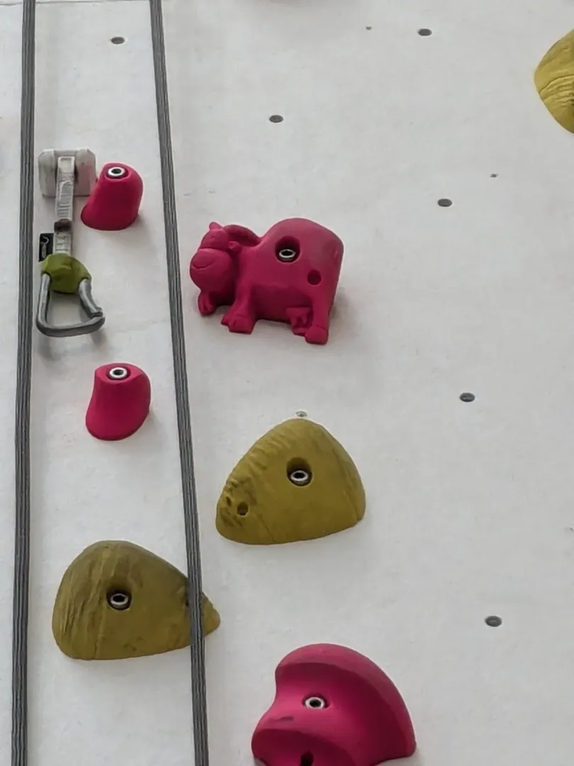 Einsteiger Kletterkurs in München für Kinder Bild 3