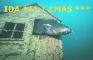 Kursbild für IDA *** / CMAS *** Tauchkurs