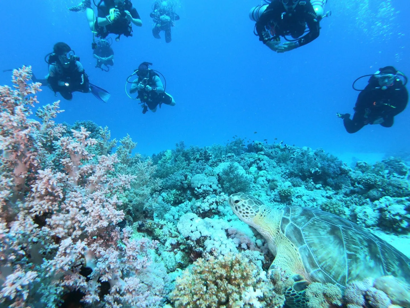 Trimix Diving Bild 3