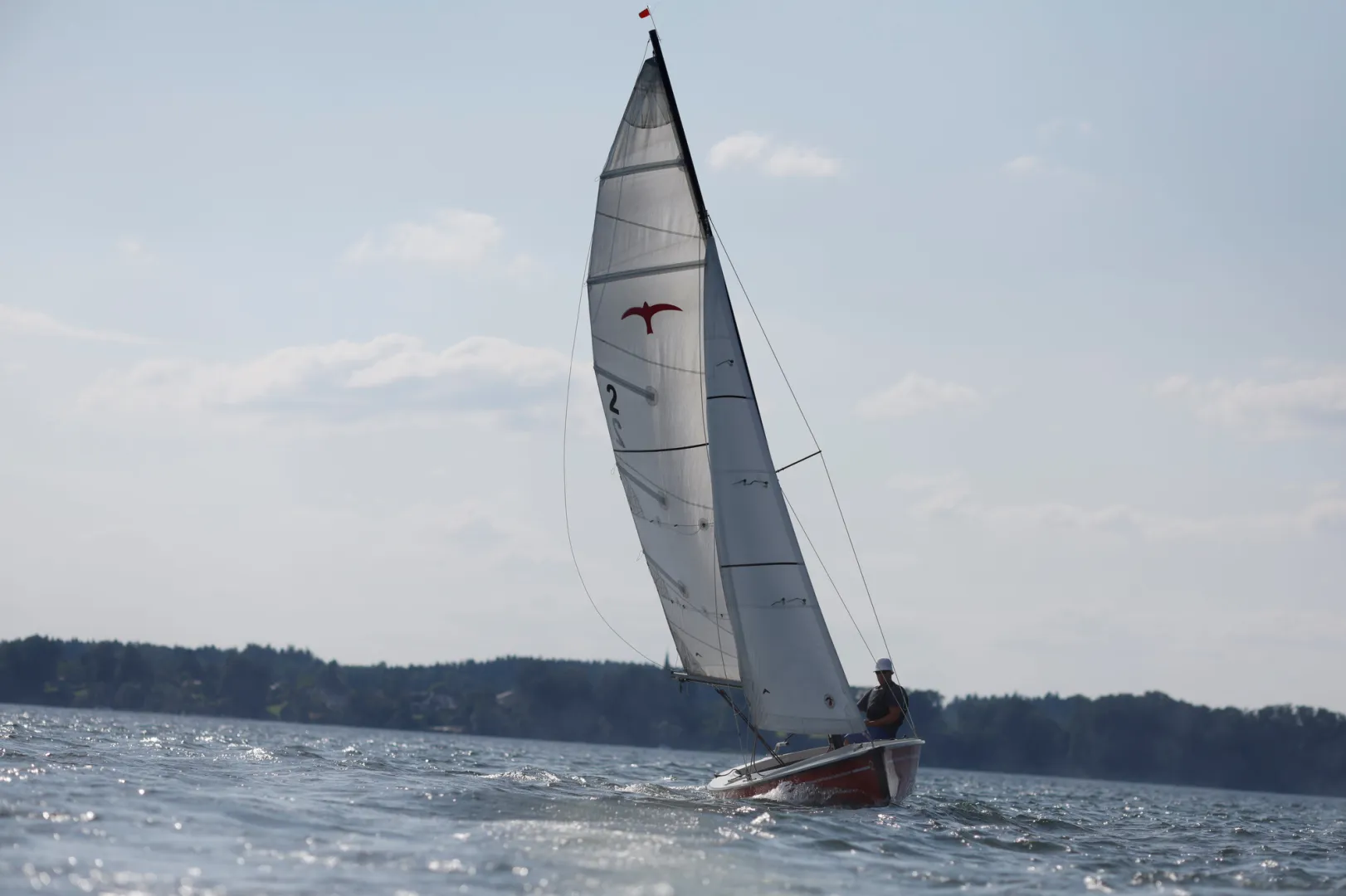 Segelkurs für Erwachsene in Gstadt/Gollenhausen Bild 3