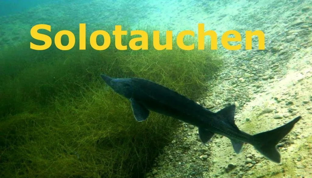 Solotauchen für Fortgeschrittene