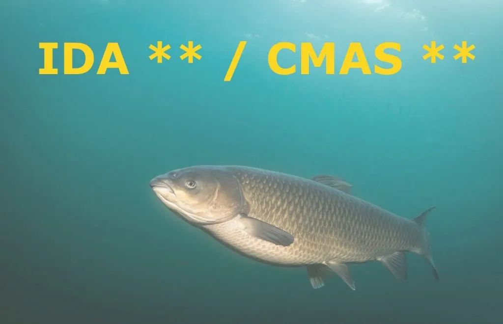 IDA ** / CMAS ** Tauchkurs