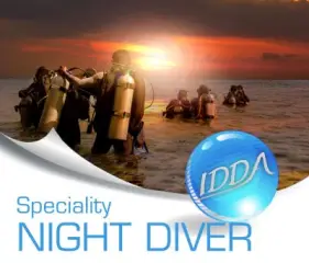 Kursbild für Night Diver