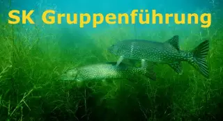 Kursbild für Gruppenführung Tauchen Spezialkurs
