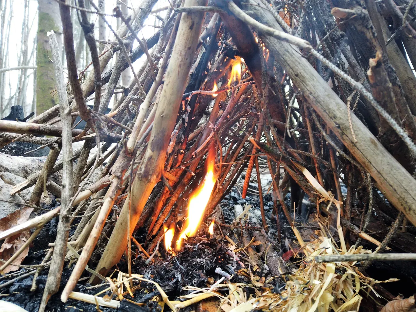 Survival und Bushcraft Kompakt inkl. Outdoor Cooking Bild 4