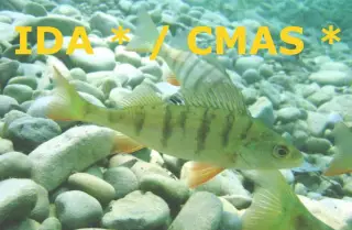 Kursbild für IDA* / CMAS* Tauchkurs